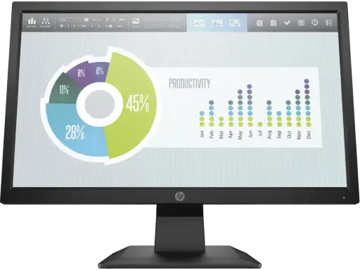 HP P204v 49.53 CM (19.5) Monitor